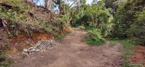Imagem 9 de 14 de Juquitiba Terreno P Construir/platô/limpo/5000 Mts Ref 05137