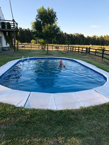 Imagen 18 de 27 de Vende Establecimiento 10 Has, Casa Con Piscina - Ruta 86 - Sauce