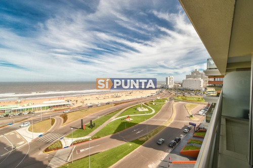 Imagen 2 de 24 de Apartamento En Brava, 3 Dormitorios *