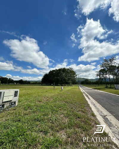 Venta Terreno / Lote En La Arbolada