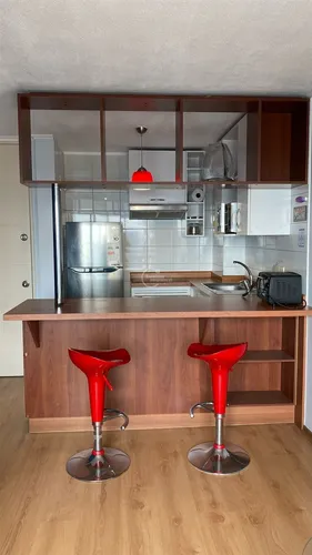 Departamento En Arriendo De 1 Dorm. En Recoleta