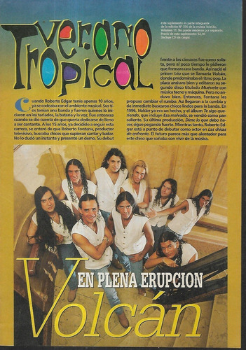 Reviposter Verano Tropical Poster Roberto Edgar Volcan 55x38