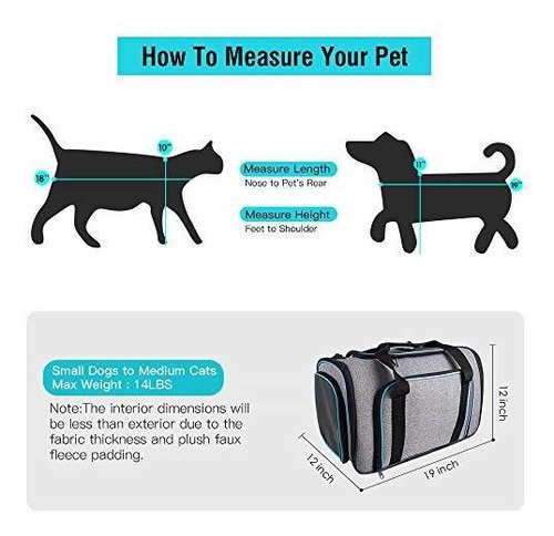 Siivton Cat Carrier Pet Carrier Pet Extensible Aprobado Por
