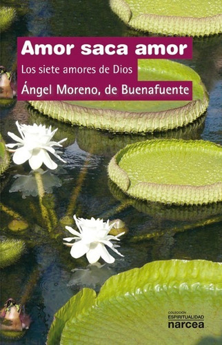 Libro Amor Saca Amor - Moreno De Buenafuente, Angel