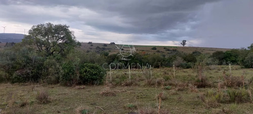 Campo En Carape Son 42 Hs 2293 M2