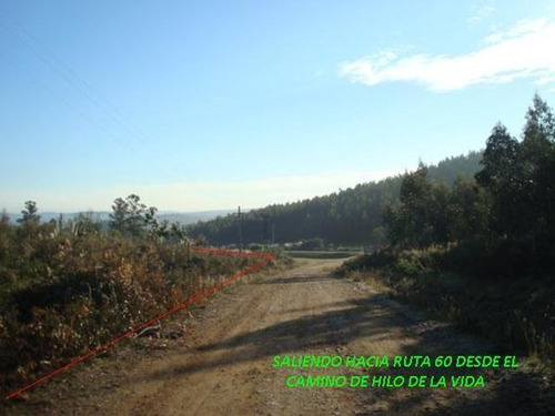 Campo En Venta En Lavalleja, 4 Hectáreas.