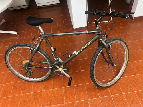 Bicicleta Weimar Con Cambios Color Gris, Rodado 26
