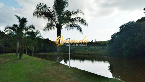 Imagem 14 de 20 de Terreno - Te00386 - 70378580