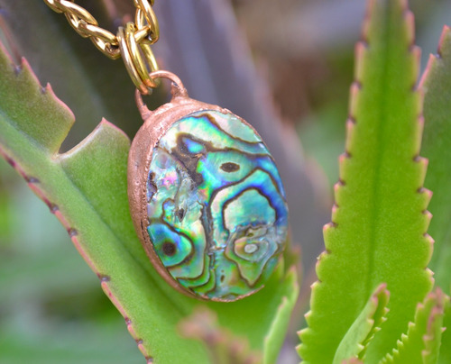 Imagen 2 de 8 de Collar De Nacar Haliotis, Abalon, Cadena Acero, Joya, Cod1