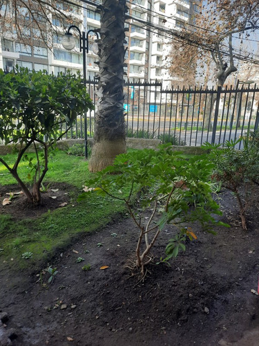 Se Arrienda Depto.amoblado 3/d2/bestac Y Bod.ñuñoa