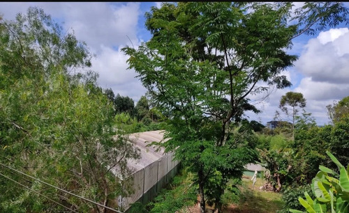 Imagem 18 de 25 de Chácara Chapada - Ch0031