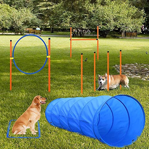 Xiaz Dog Agility Equipments, Obstacle Courses Training Start