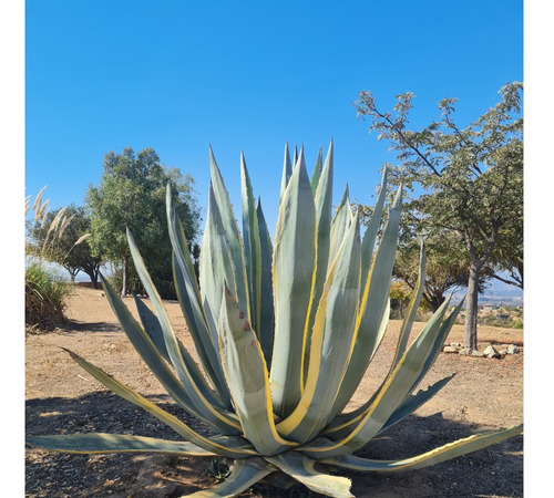 Vendo Parcela En Hacienda Los Aromos A Minutos De Limache