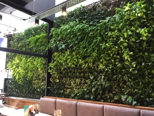 Presupuesto Jardines Verticales Muros Verdes Jardin Vertical