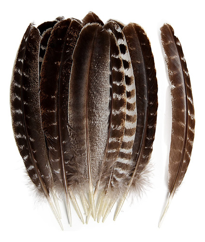 Tharaht 24 Plumas Naturales De Pavo Salvaje A Granel De 6 A