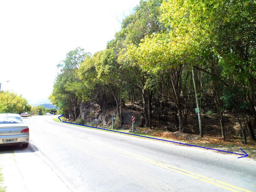 Imagen 12 de 17 de Hermosa Hectárea En Venta En Los Hornillos, Traslasierra Sobre Ruta, Escritura Y Servicios