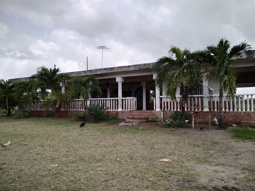Imagen 2 de 5 de Se Vende Finca En La Toscana Ve01-0304lt-rcor