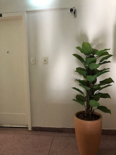 Imagem 1 de 12 de Conjunto Para Alugar, 30 M² Por R$ 1.700,00/mês - Vila Mariana - São Paulo/sp - Cj5052