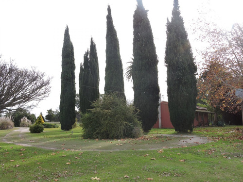 Imagen 7 de 17 de 3,6 Ha Casa Quinta En Veronica Con Galpon Y Local Comercial