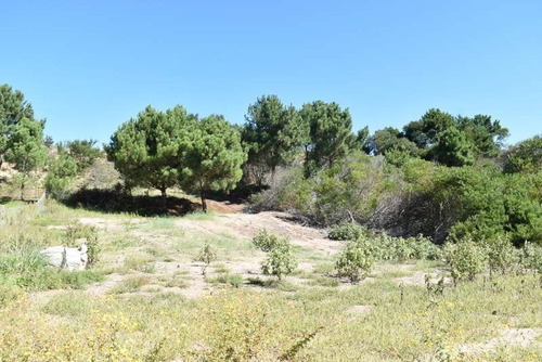 Imagen 2 de 3 de Lote A La Venta En Costa Esmeralda - Ecuestre Al 100 - Ref: 41