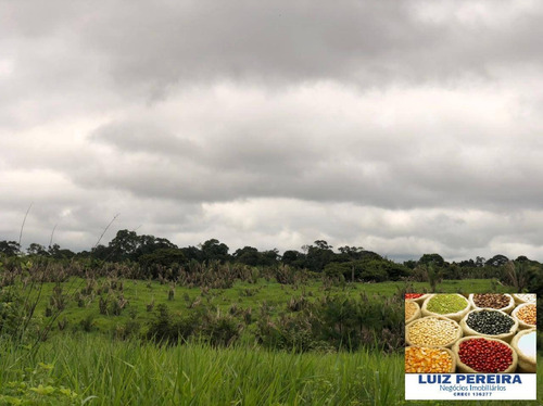 Imagem 15 de 15 de Fazenda À Venda Em Pacaja - Pa - De 1.900 Alqueires (dupla Aptidão) - 1649