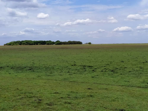 Imagen 11 de 15 de Hato En Venta En Elorza, Apure