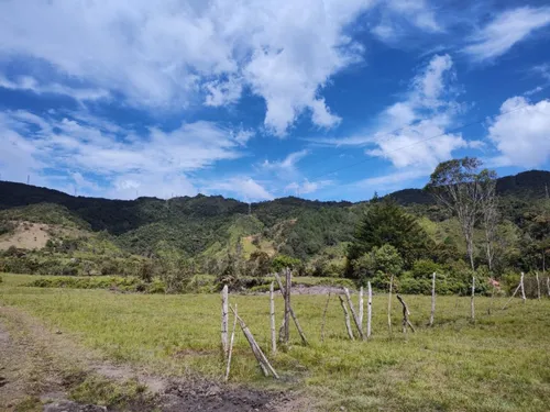 Lote En Arriendo/venta En Vereda La Florida. Cod A8579