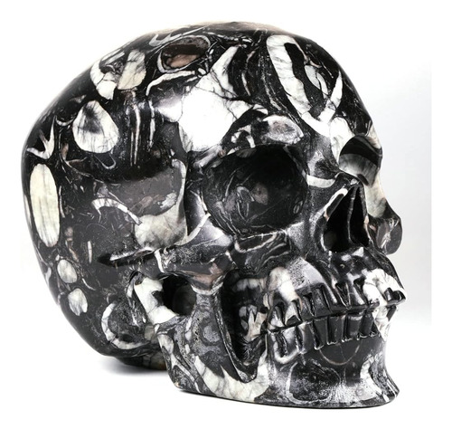 Sr. Skull 5.0  Estatua De Calavera De Cristal Súper Realista