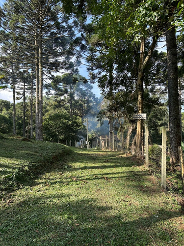 Paraíso À Venda Sítio Com Nascentes, Córrego E Natureza Intocada Em Bocaiuva Do Sul - Pr - 4 Hec