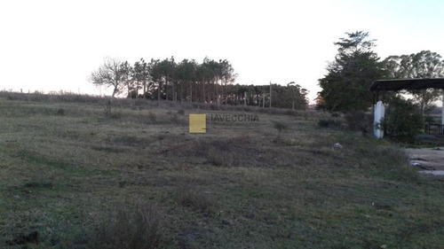 Imagen 7 de 13 de Venta De Chacra De 3has En Ruta 12
