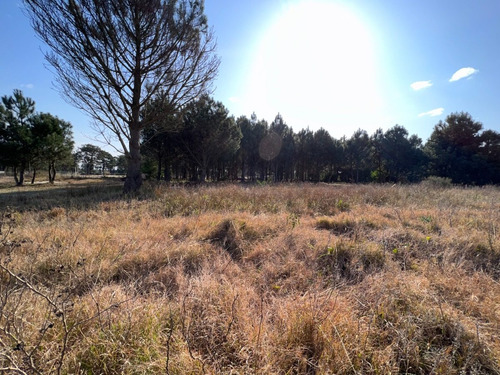 Imagen 8 de 15 de Venta Terreno Financiable Lomas De Solymar Canelones