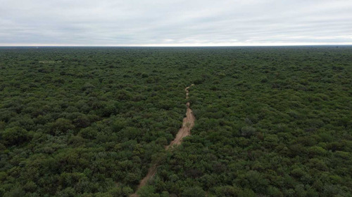 Campo Ganadero De 1.070 Hectáreas!!oportunidad..