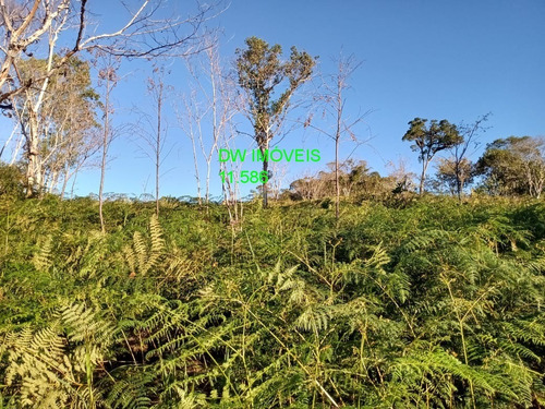 Imagem 21 de 30 de Juquitiba/02 Belos Lagos/área De Plantio - 05010 - 68145388