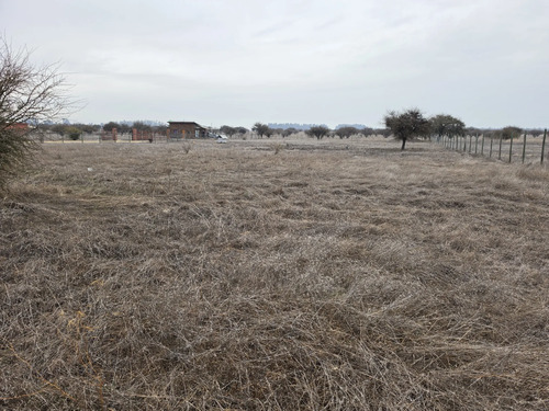 Parcela 5.000 M2  Rinconada De Alcones, Marchigüe