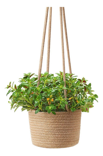 Cesta Tejida Para Plantas, 2 Piezas, Para Colgar Plantas Par