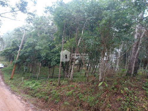 Imagem 24 de 26 de Terreno, Dos Neves (caucaia Do Alto), Cotia - R$ 210 Mil, Cod: 4254 - V4254