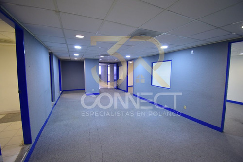 Oficina En Renta En Anzures 6c/2b/1e - Excelente Ubicación - 178m2