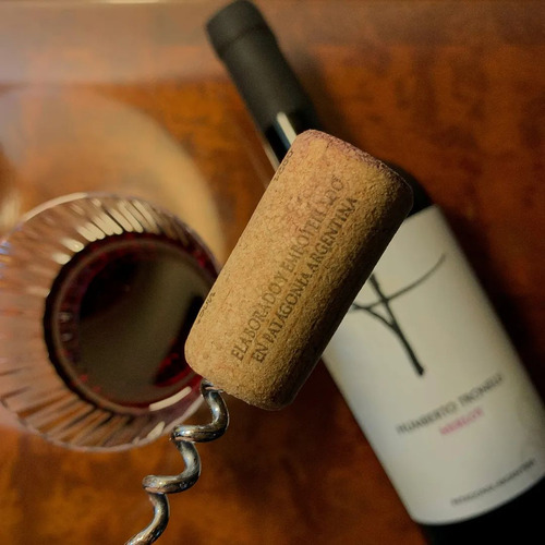 Vino Humberto Tronelli Cabernet Franc Reserva Prov Rio Negro