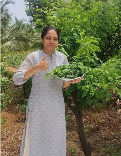 100 Gr. Hoja De Curry / Alta Calidad Para Chefs / Ndb Sazon