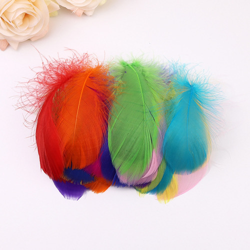 Plumas De Ganso Naturales Para Atrapar Sueños, 100 Unidades,