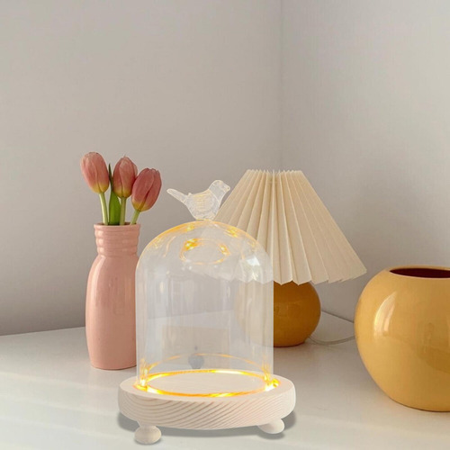 Cristal Transparente Cloche Dome Showcase 9x11cm Pájaro