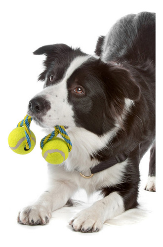 Juguete Para Perro Pelotas Con Cuerda/ Pawise Color Multicolor