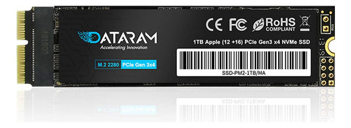  Dataram SSD-PM2-1TB/MA 1 MB