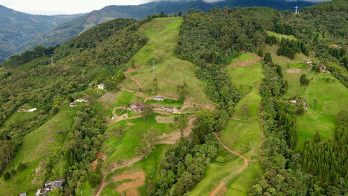 Venta Lotes Campestres Caldas-antioquia Vereda La Corralita