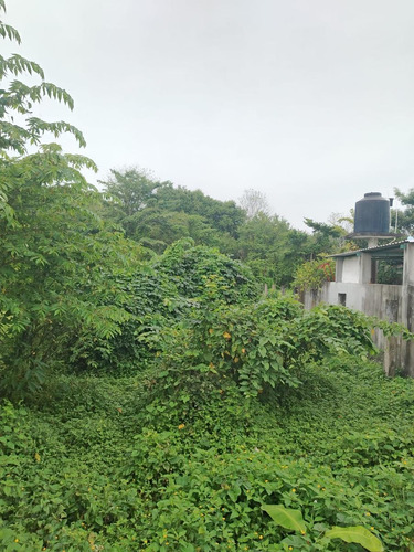 Venta De Terreno Excelente Ubicacion En San Bartolo Tuxtepec Oaxaca