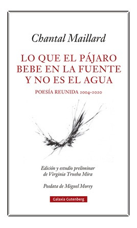 Lo Que El Pájaro Bebe En La Fuente Y No Es El Agua Maillard