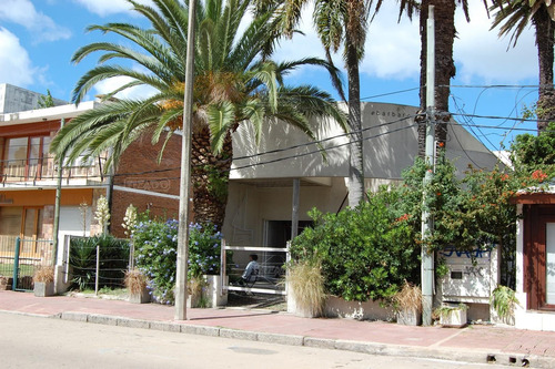 Imagen 20 de 22 de Local Oficina Casa Chalet Loft Apartamento Depósito 1 Dormitorio 2 Dormitorios En Venta Ubicado En Península, Punta Del Este, Punta Del Este / Maldonado