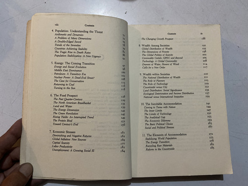 The Twenty Ninth Day - Lester R. Brown (Usado)