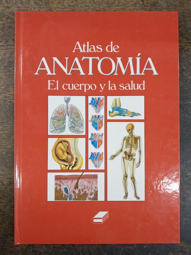 Imagen 1 de 6 de Atlas De Anatomia * El Cuerpo Y La Salud *