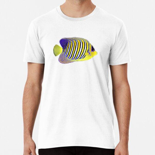 Remera Regal Angel Fish Agua Salada Arrecife Acuario Acuario